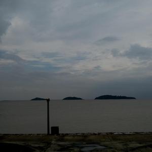 性爱视频网址在线观看高清中文
